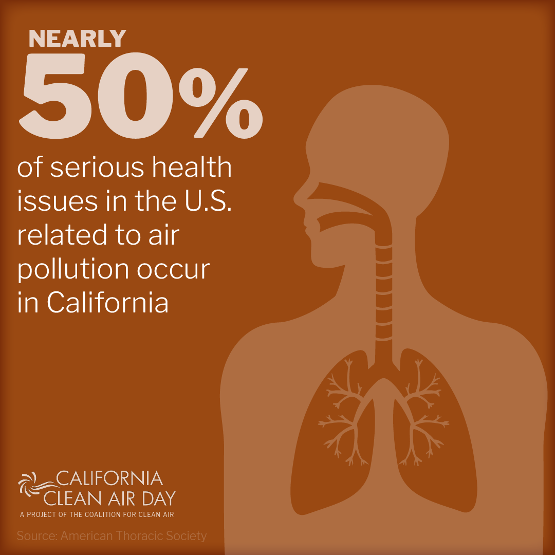 Health effects of air pollution